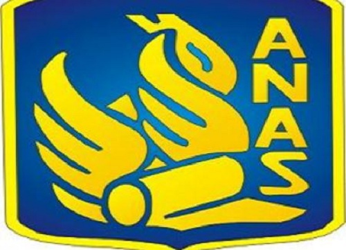 Anas-Logo