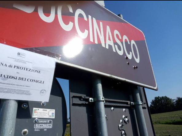 buccinasco cartello