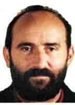 polimenidomenico