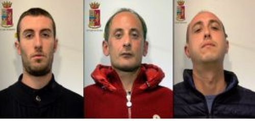 arrestimusarella500