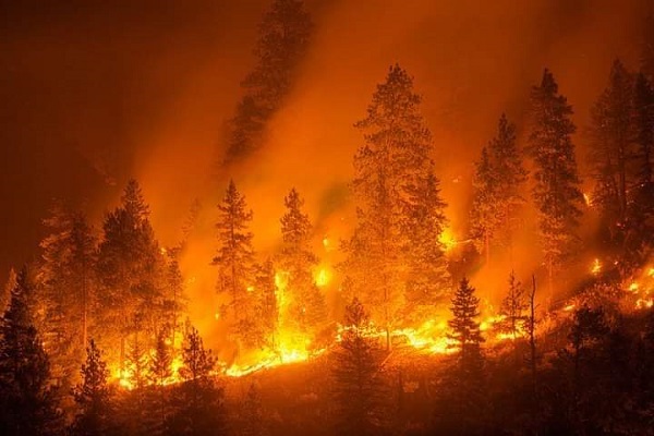 incendio boschivo san lorenzo