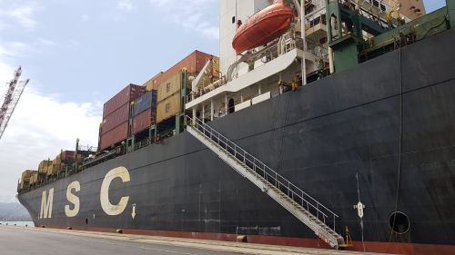 Msc 1