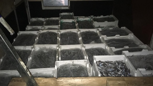 operazioneundersize2