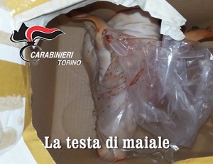 testamaiale