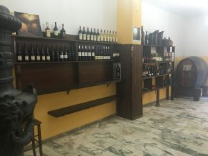 bottedivina