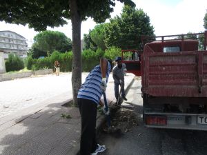 raccoltaspazzaturamigrantisprar