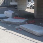 STAZIONE COSENZA (14)