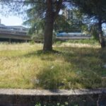 STAZIONE COSENZA (17)