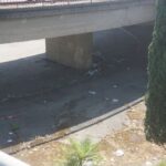 STAZIONE COSENZA (27)