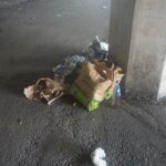 STAZIONE COSENZA (9)