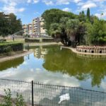 OCA CON IL COLLO ROTTO (1)