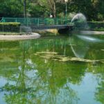 PARCO ROBINSON (2)