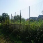 PARCO ROBINSON (26)