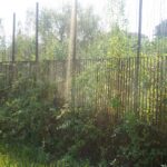 PARCO ROBINSON (28)