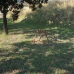 PARCO ROBINSON (3)