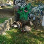 PARCO ROBINSON (9)