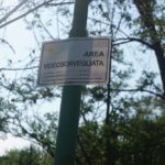TELECAMERE (4)