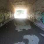 TRANSENNE ALA EST (5)