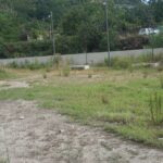 DSC09303