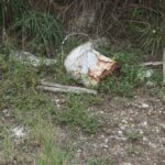 DSC09329