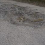 DSC01907