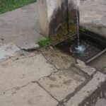 DSC01983