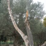 DSC02005