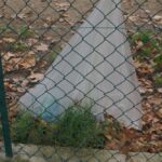 DSC02049