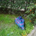via popilia secondo lotto (2)