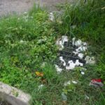 via popilia secondo lotto (3)