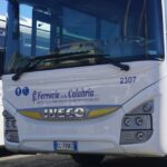 bus (2)