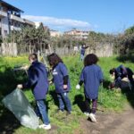 plastic free catona (1)
