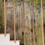BocsArt-Cosenza-5