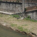 centro storico rifiuti (22)