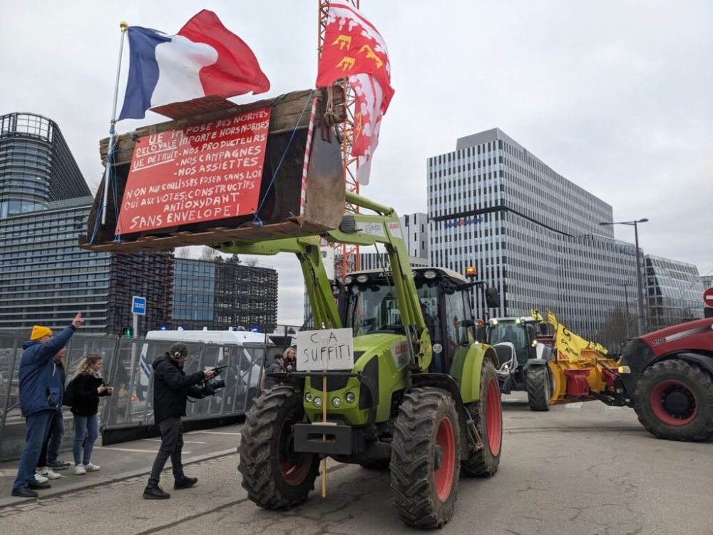 Delegazione di 'CRA Agricoltori Riuniti' e 'Popoli di Calabria' alla sede  della Commissione Europea per consegnare lettera-appello: Diffidiamo  organo a imporre direttive normative allo Stato Italiano - IlDispaccio